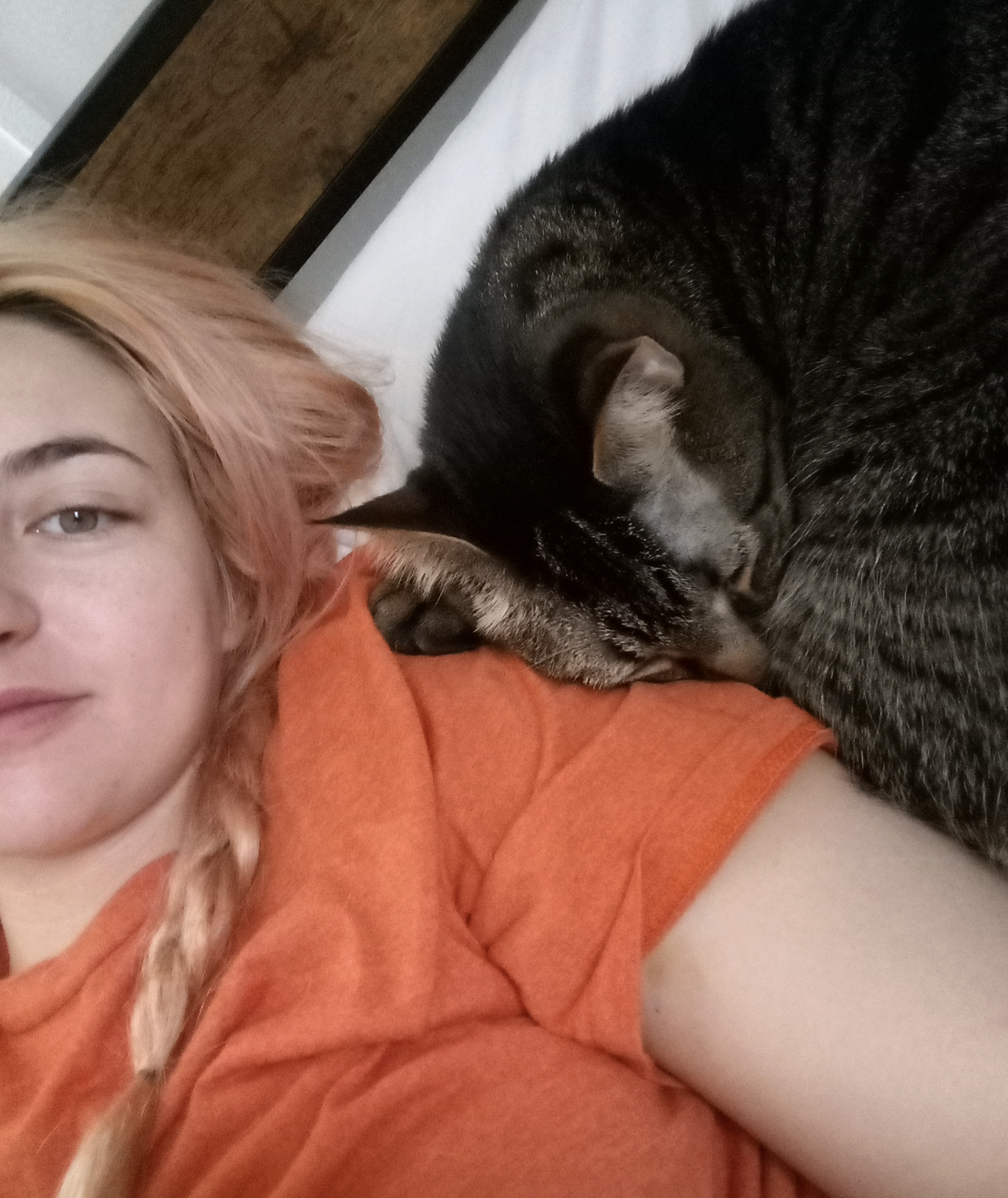 Dog walking services Columbus Ohio