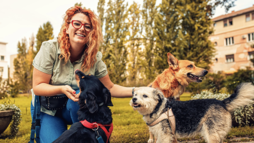 A Hands N Paws dog walker in Columbus, Ohio greeting a happy dog during an in-home pet care visit.